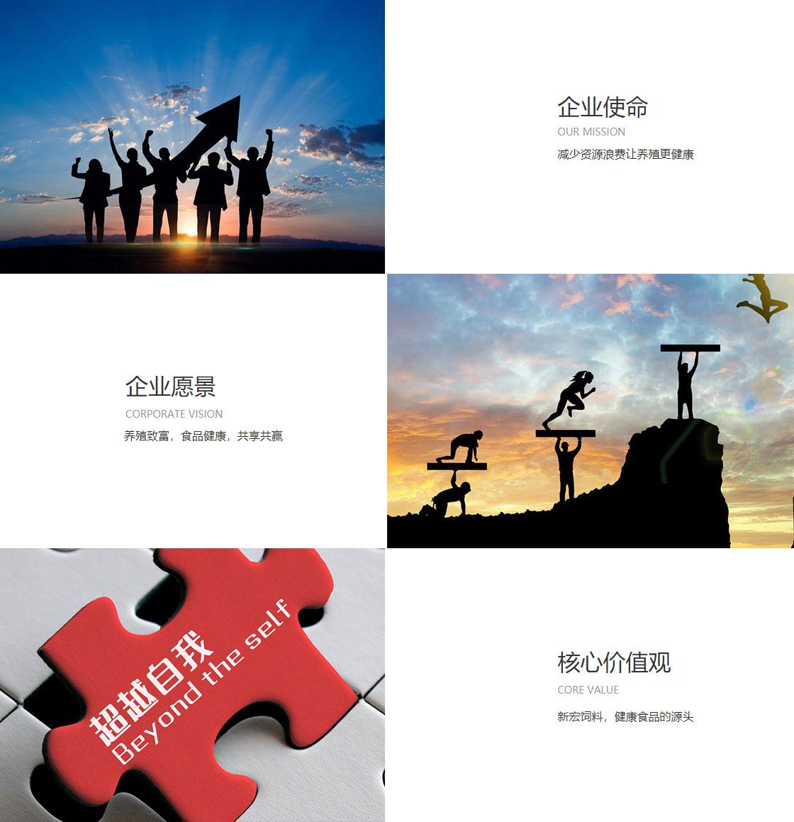 zoty中欧体育平台app(图1)